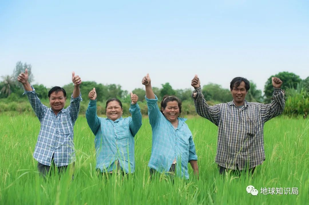 泰国米，从小吃到大|地球知识局