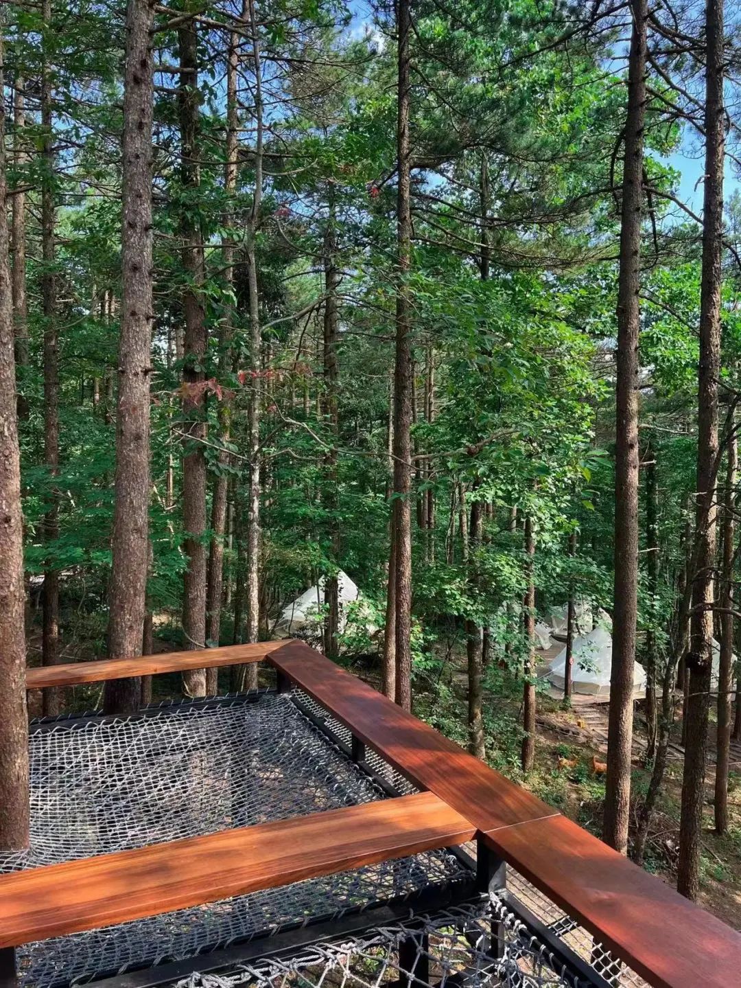 不愧是天下第一山真的很壮观,不愧是天下第一奇山