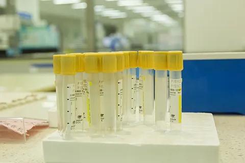 怎么查自己的血型公众号,怎样知道自己是什么血型