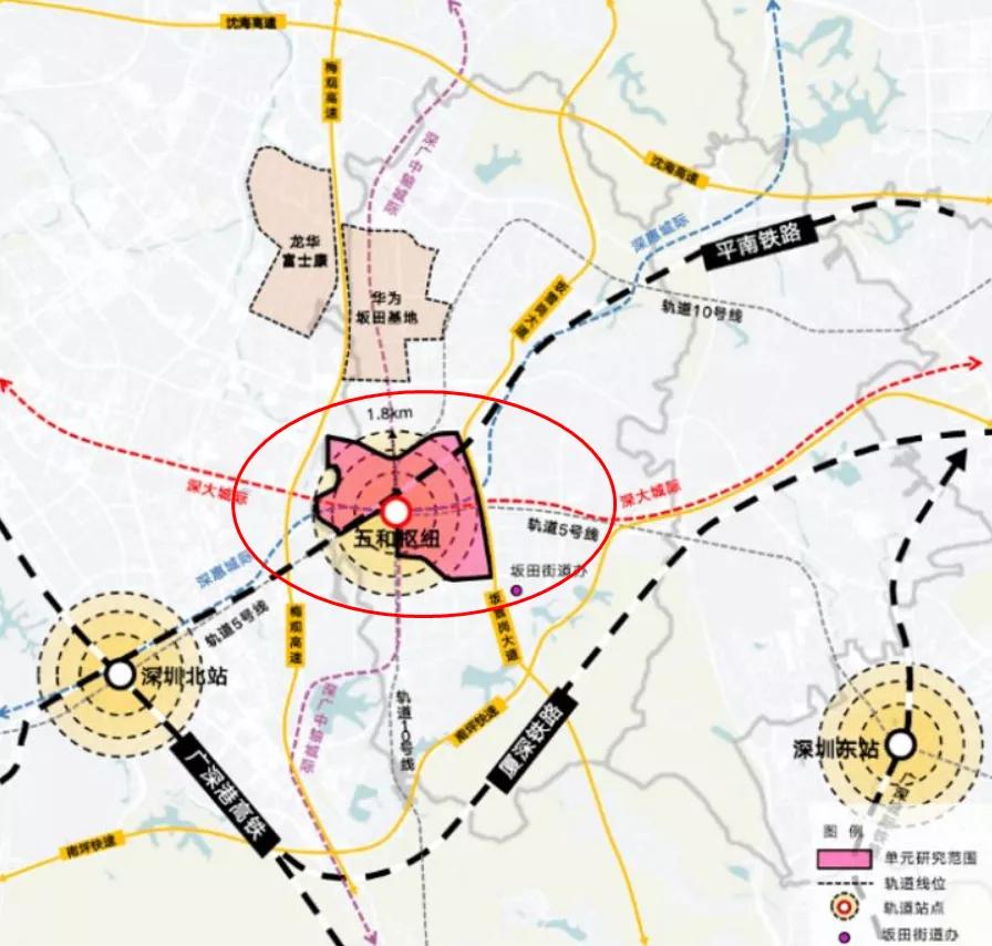 坂田为什么这么强,坂田好不好