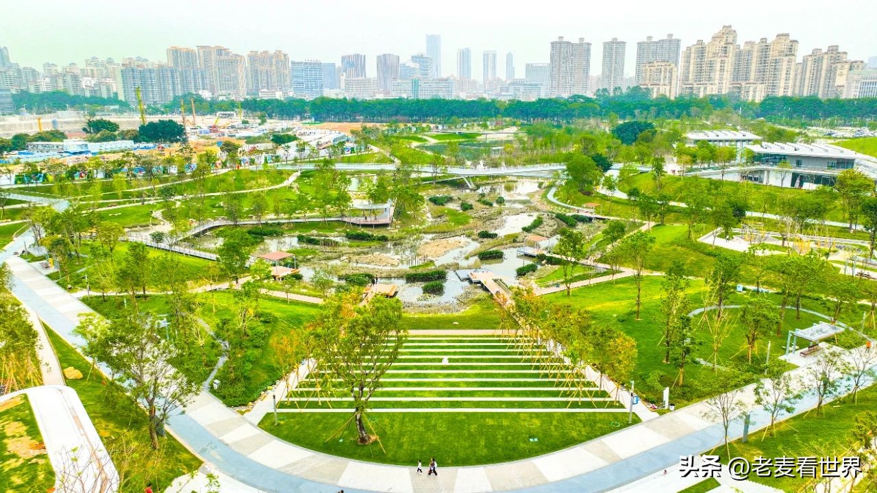 打卡公园东莞游玩攻略,东莞森林公园攻略