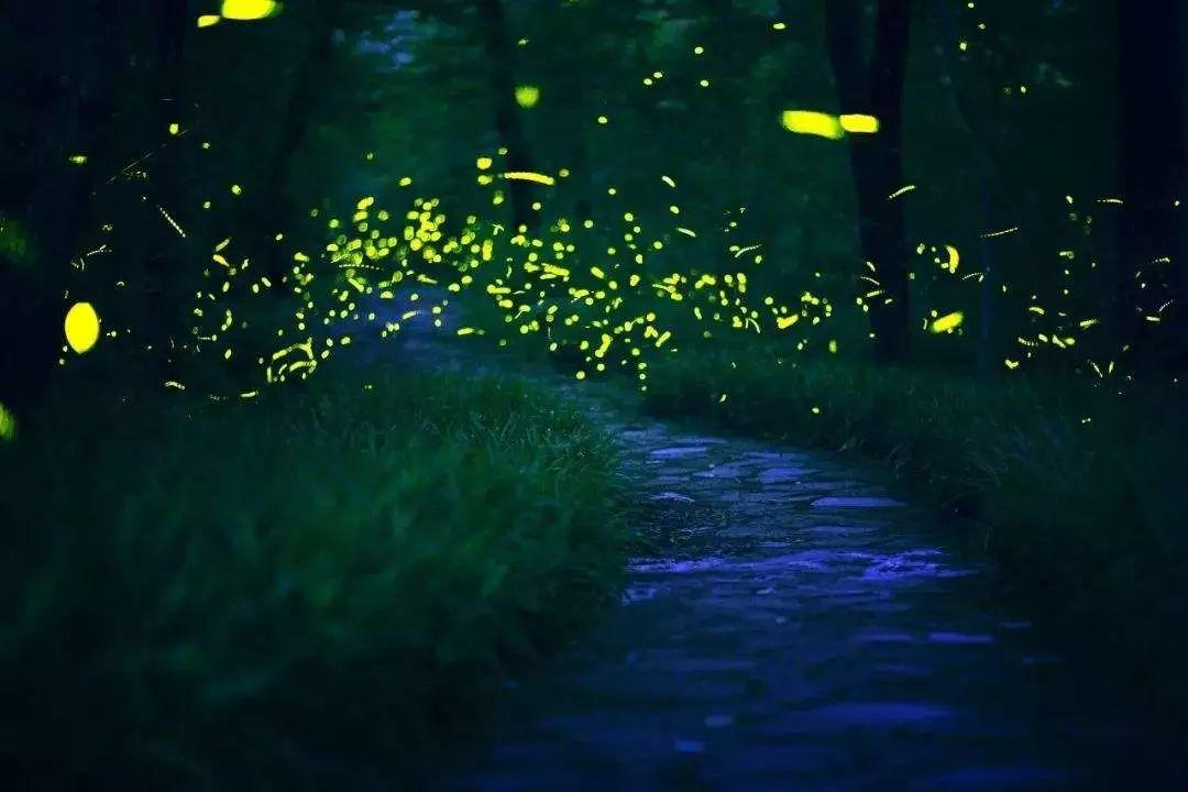 成都五一不堵的景区,五一成都免费打卡景点