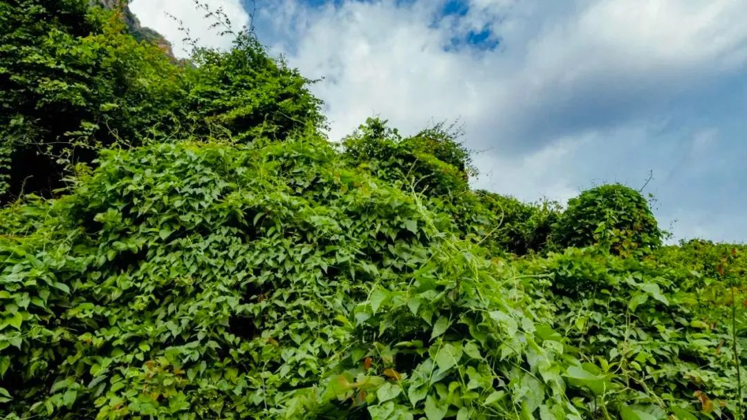 深圳瀑布在哪里,深圳有瀑布的地方有哪些