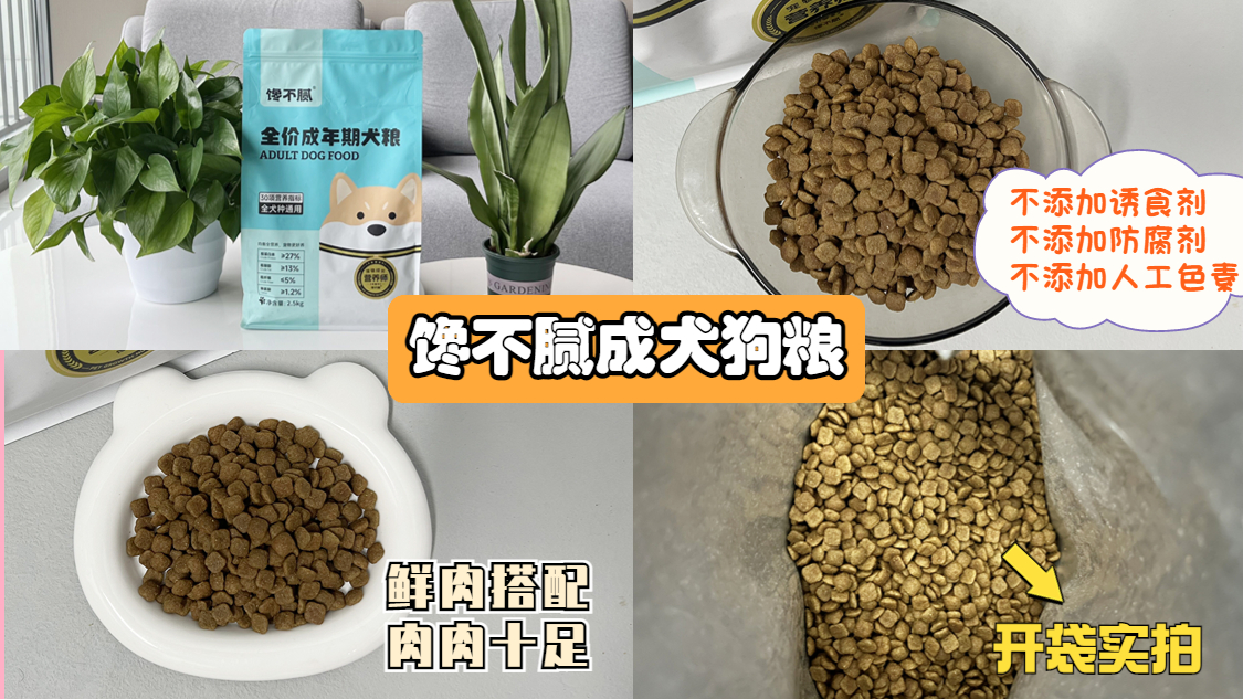 为什么雪纳瑞容易得皮肤病,为什么雪纳瑞越打越凶