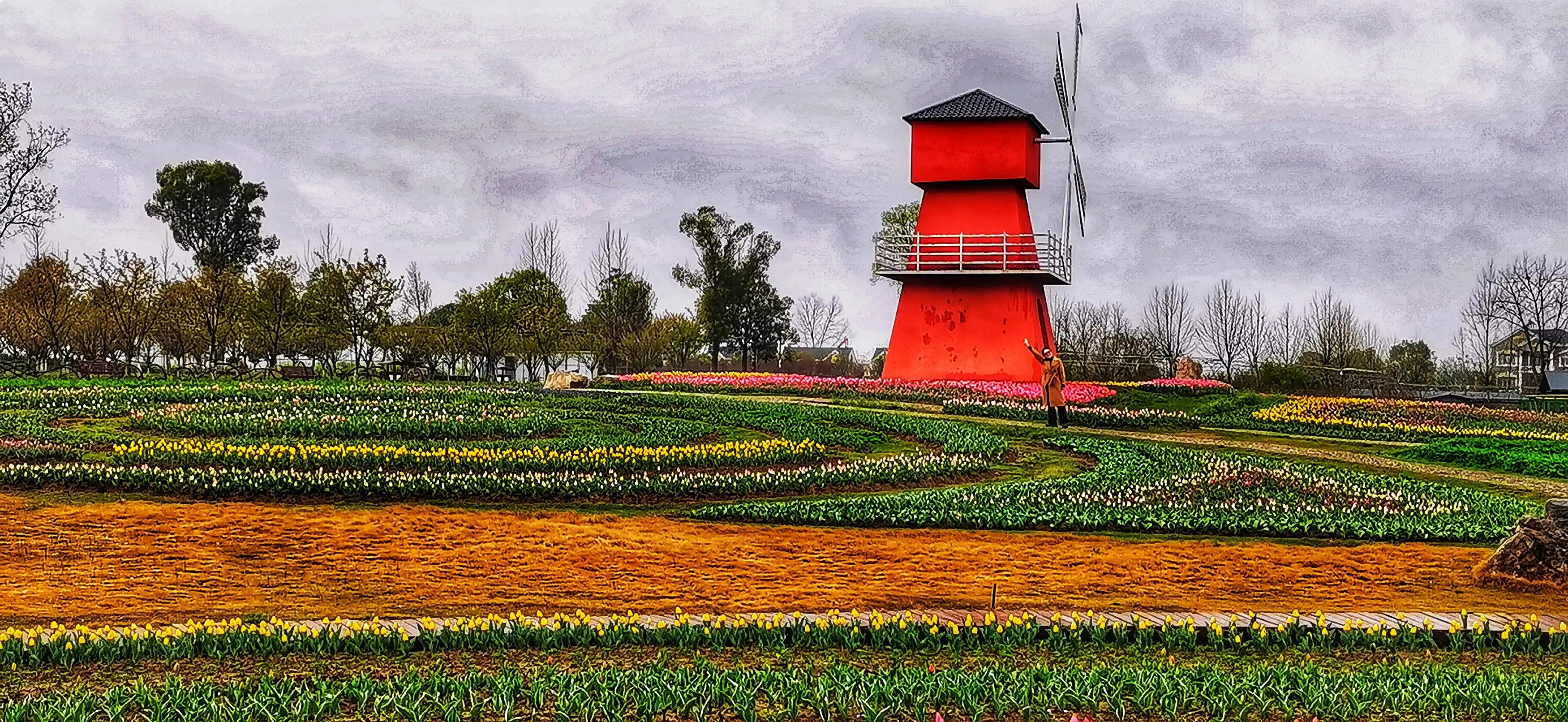 湖北宜昌花海赏花,枝江同心花海四月有什么花