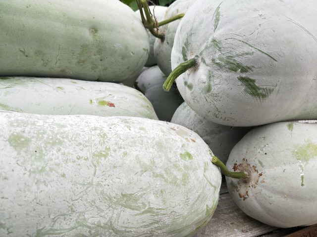 寻找十七年的初恋,寻找十七年