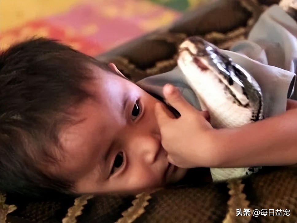 世界十大最奇葩的宠物,世界上最奇异的小宠物