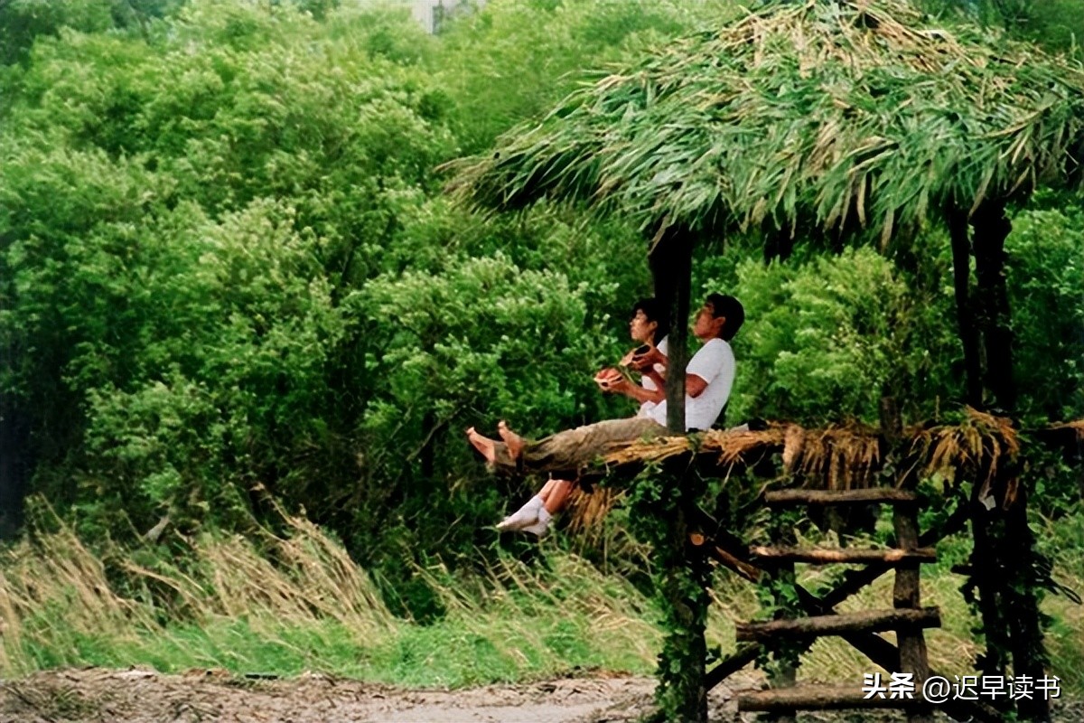 《天灯》：对“*服务性**”的直白书写，再现了特殊年代的爱欲与隐痛