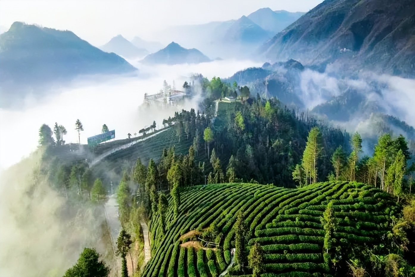 夏天游玩路线,夏天旅游最佳路线推荐