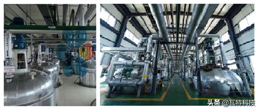 提取生物柴油的最佳原料,生物柴油提炼全过程