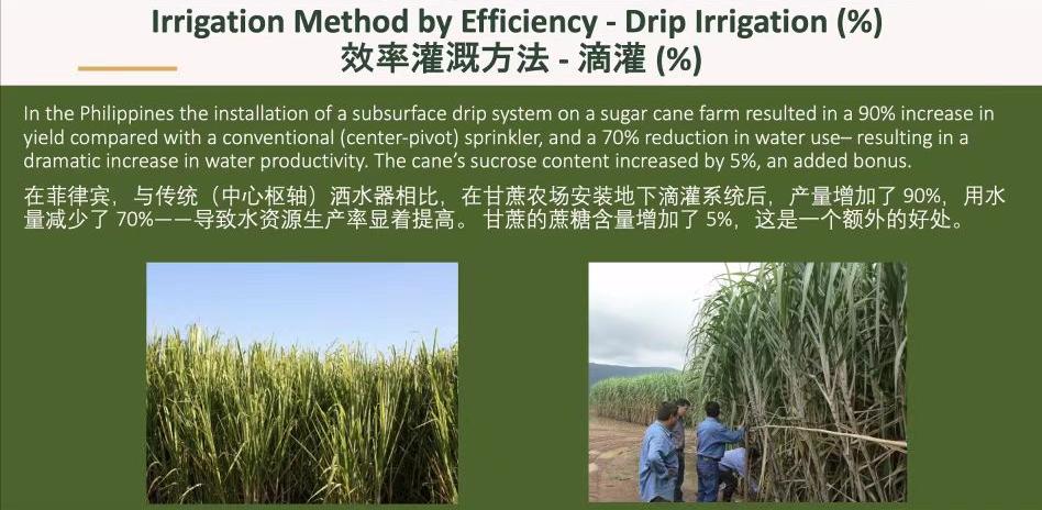 2050年人口破百亿,哪些农业“黑科技”,能让地球不因饥饿而流浪