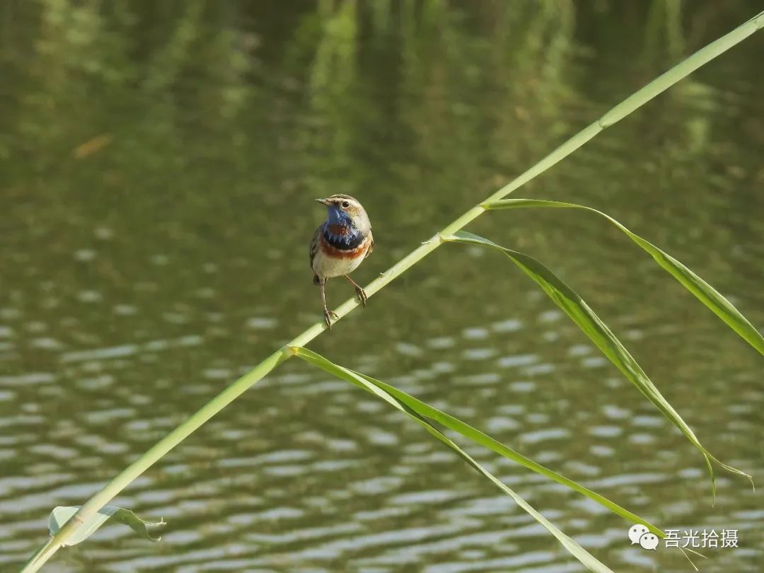 砂石坑什么时候挖出来,砂石石槽图片