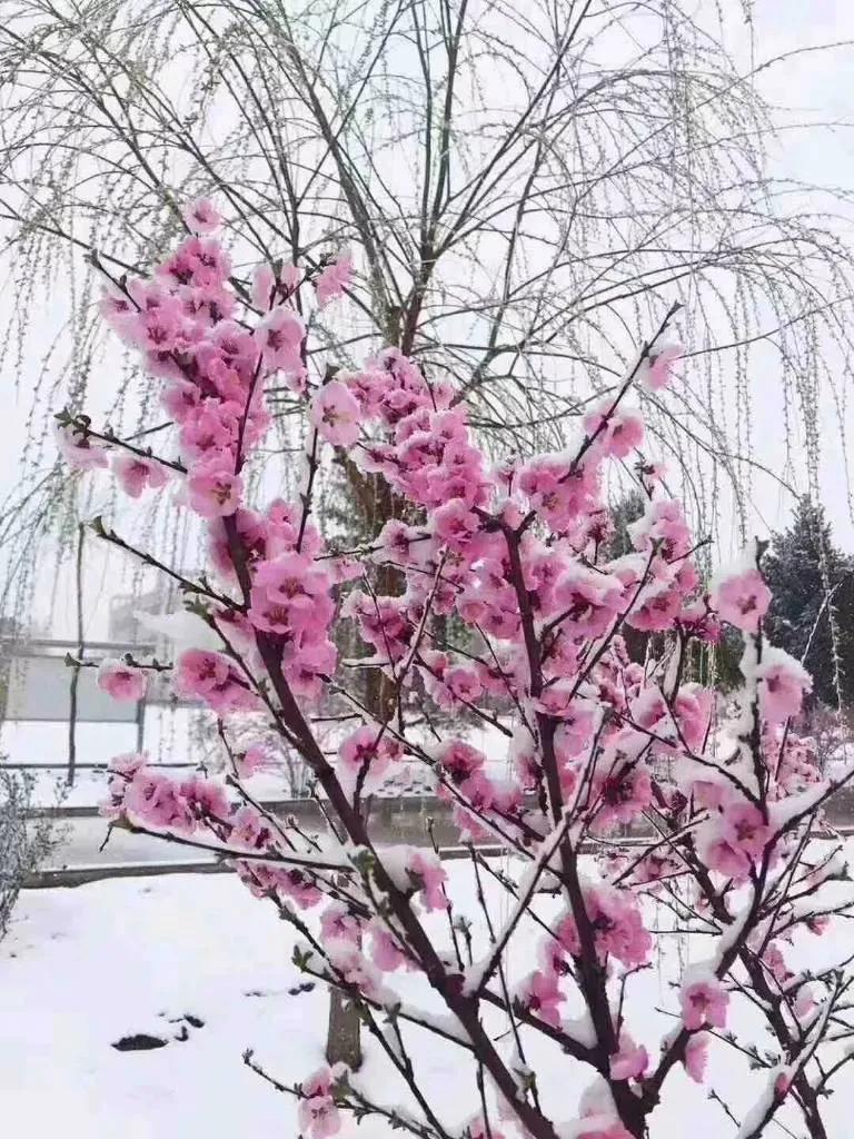 适合白手起家的小本创业,6个适合在家创业项目推荐