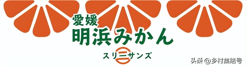 日本爱媛县柑橘,日本爱媛县柑橘研究所