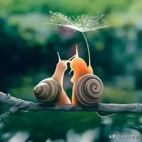 *拍偷**的夫妻生活照，羞羞的