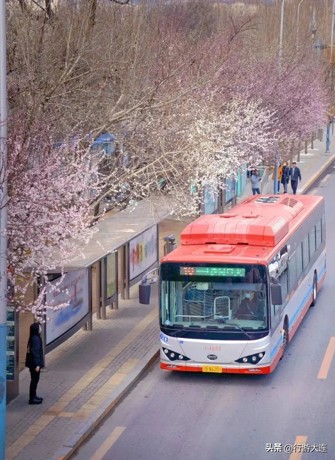 大连海边网红打卡地,大连黑石礁打卡网红景点