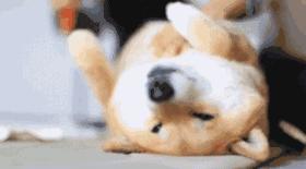 企业管理的病态现象,公司中层管理的十大技巧