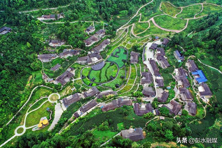 重庆日报特刊聚焦彭水：“九苗”归一兴苗乡“三品”合璧强产业