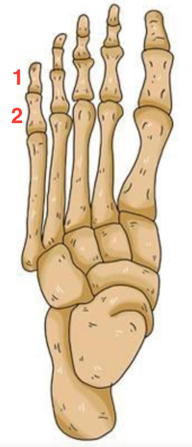 中国人应该知道的冷知识,中国人哭笑不得的常识