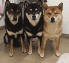 中国人下南洋如何白手起家,白手起家的人特征