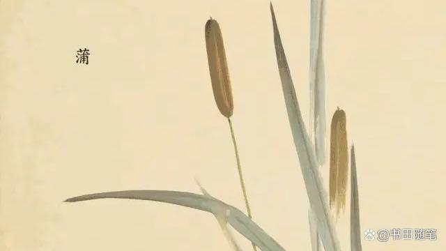 诗经励志篇目,诗经必背经典篇目