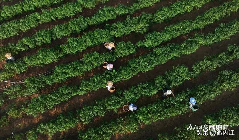 我们一起经历了难忘的事,我们一起经历的瞬间
