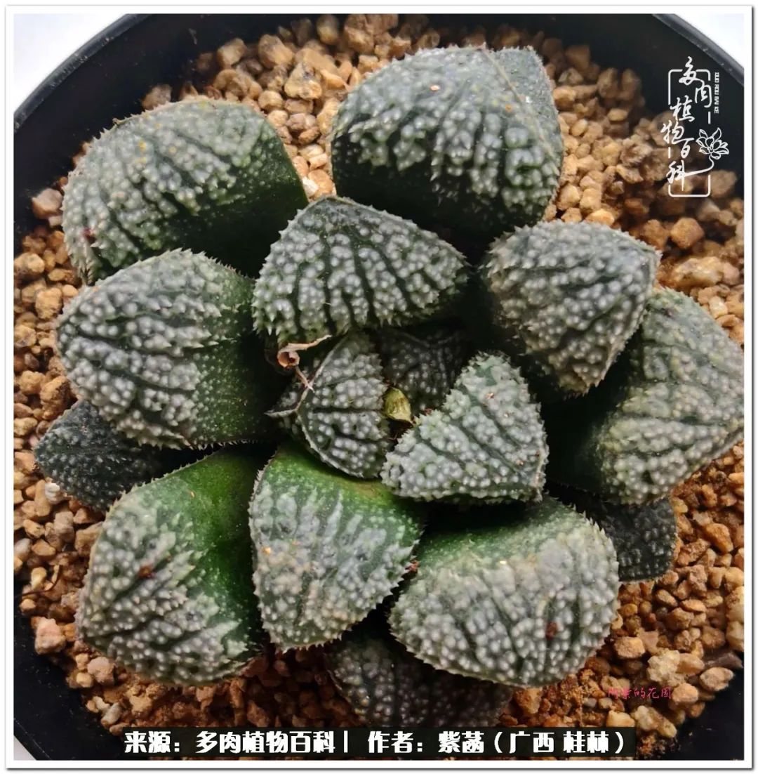 酷暑里的关爱，如十二卷般透亮绵长