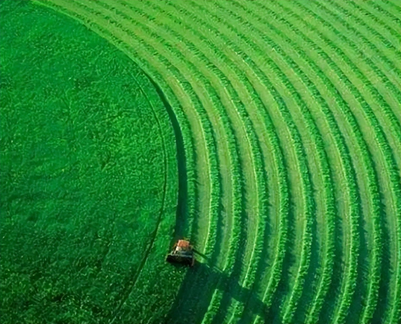 农业技术进步的现状思考与对策,农业科技发展现状和趋势