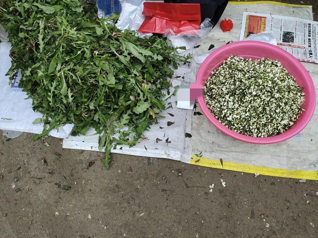 烟台水果物价,烟台地区最新的水果价格