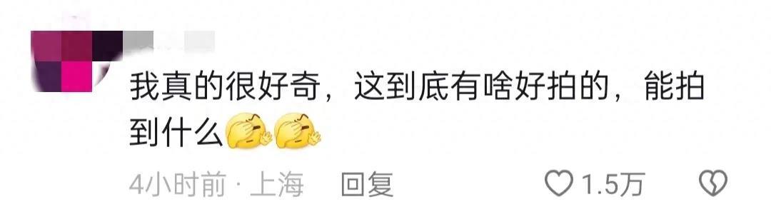 男子偷拍空姐被抓拘留,男子飞机上偷拍空姐被抓