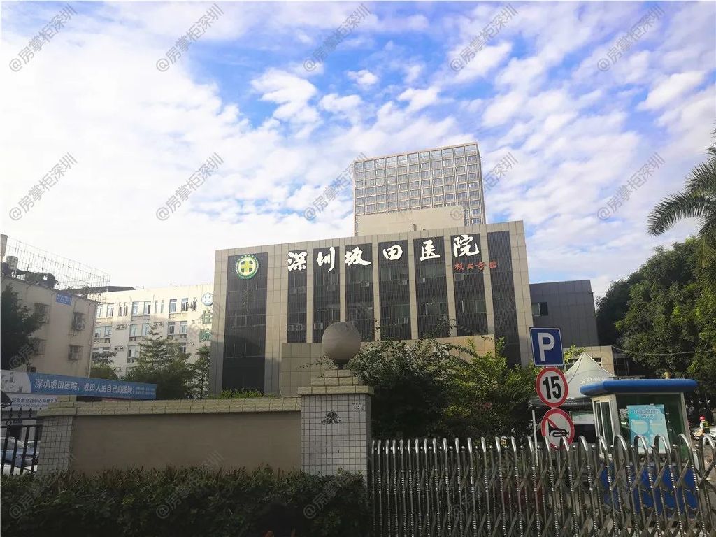 坂田十大学区房,深圳龙岗坂田新盘