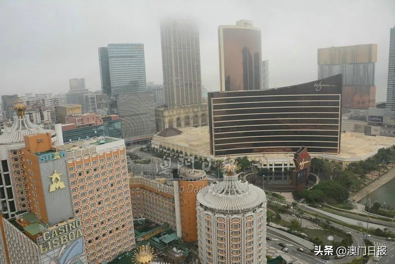 赌牌竞标,赌牌竞标谁说了算