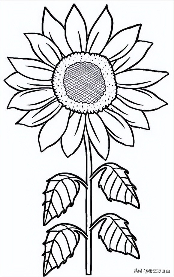 学画工笔花卉郁金香简笔画,手把手教你简笔画手绘线描花卉