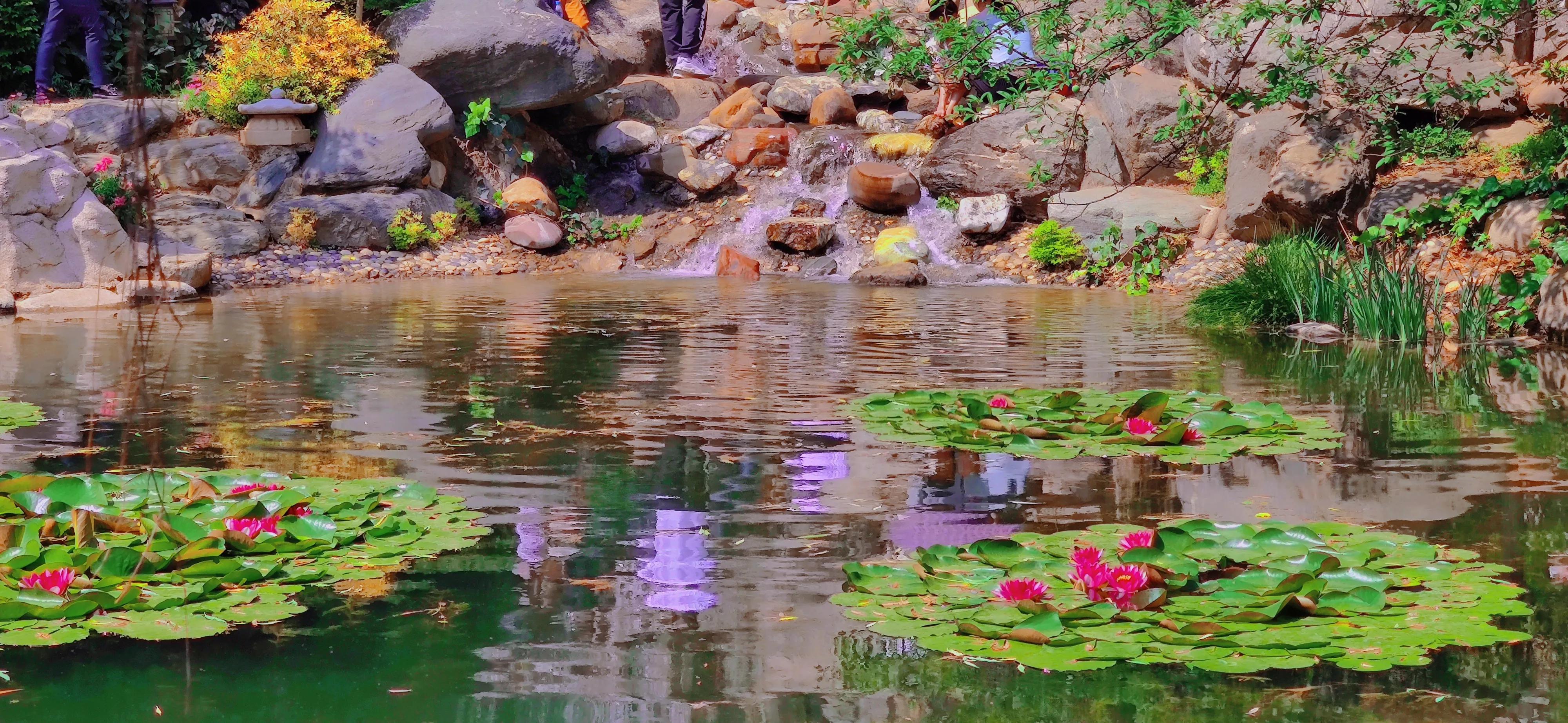 昆明周边一日游旅游景点,昆明旅游必去七大景点推荐