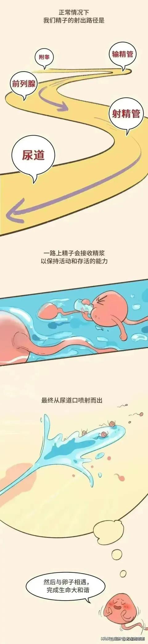 安全套被扎了针眼会怀孕吗,安全套避孕的情况下会怀孕吗