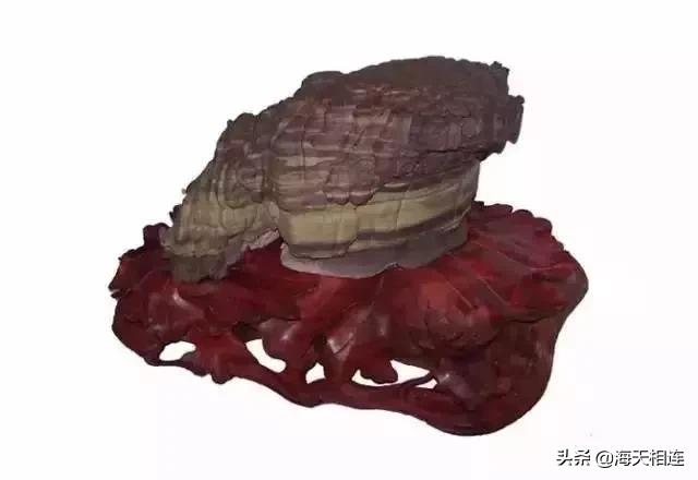 难得一见的仙鹤假奇石,这些难得一见的奇石美醉了