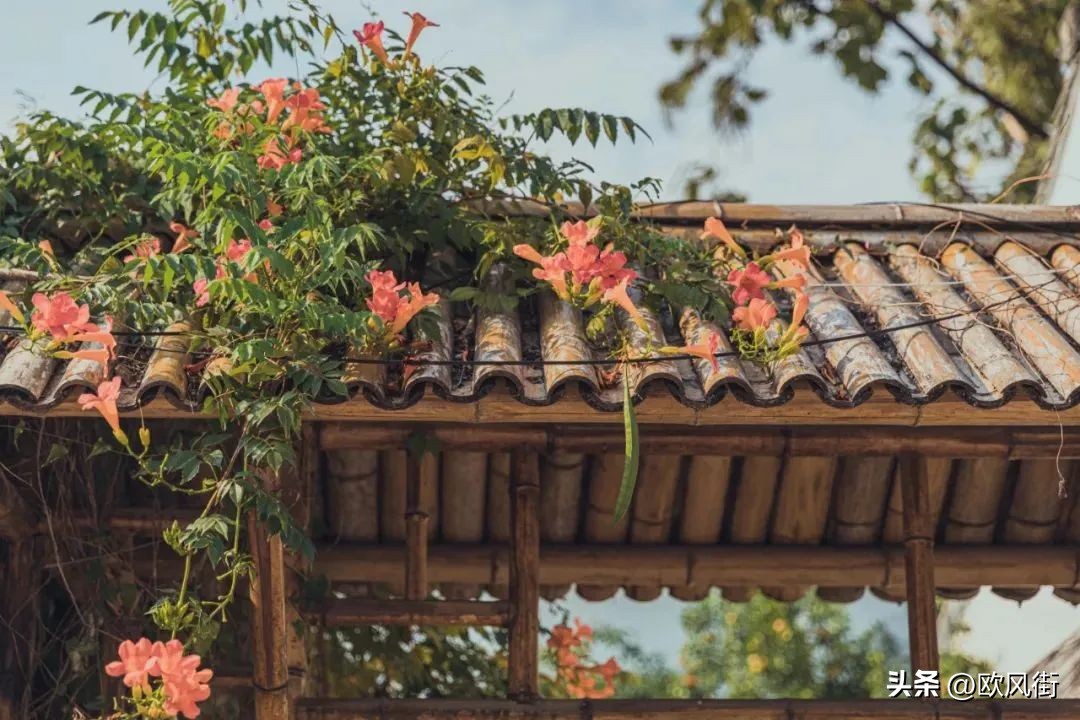 姑苏历史老街,姑苏区有哪些历史老街