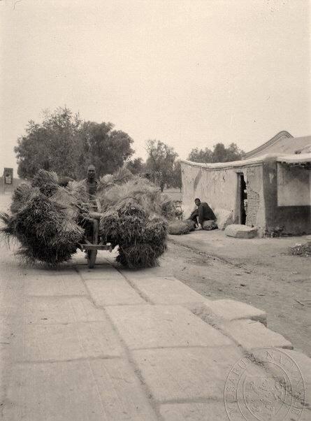 日军剃光头,日军日记真实纪实