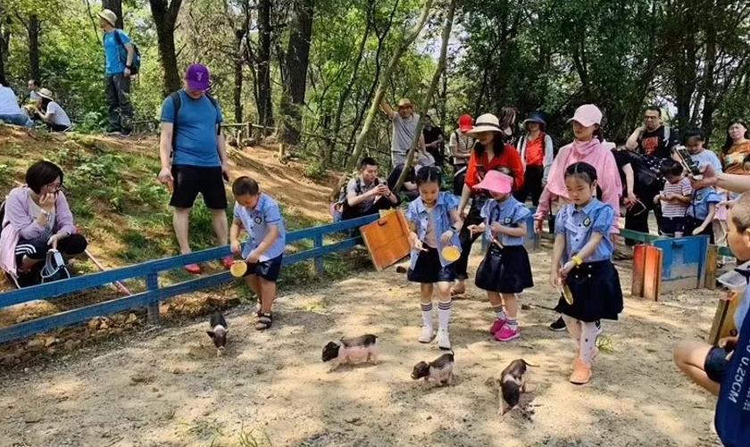 300亩主题农场,300亩农场年入千万