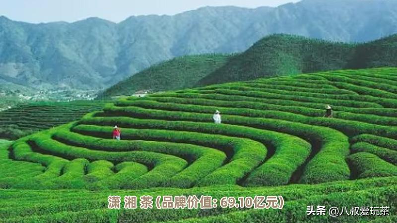 2023年价值最高的十大茶品牌，第一名达82.64亿元