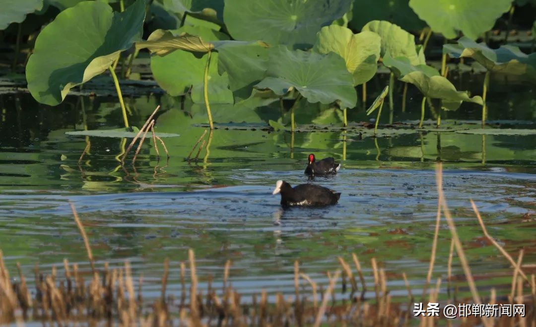 峰峰网红打卡地,寓教于玩幼儿园