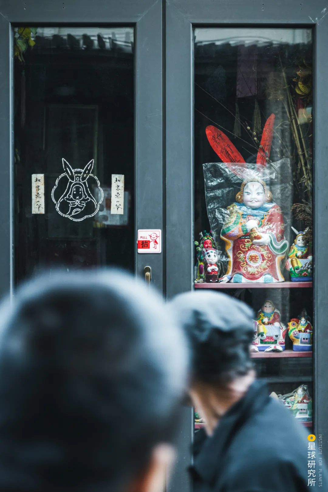 兔年来了,兔年来了怎么样