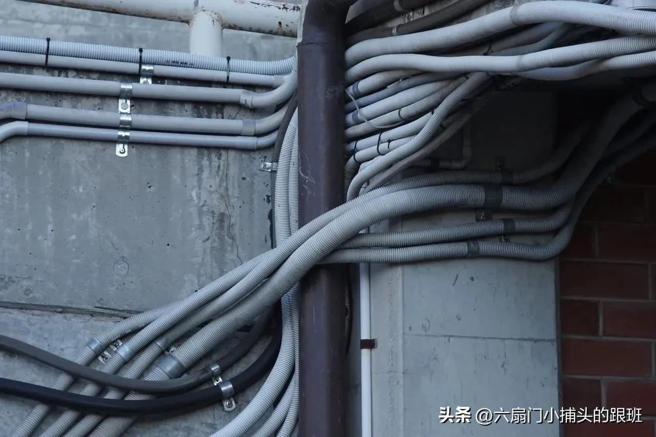 懂懂日记全集,懂懂日记和艾浪笔记