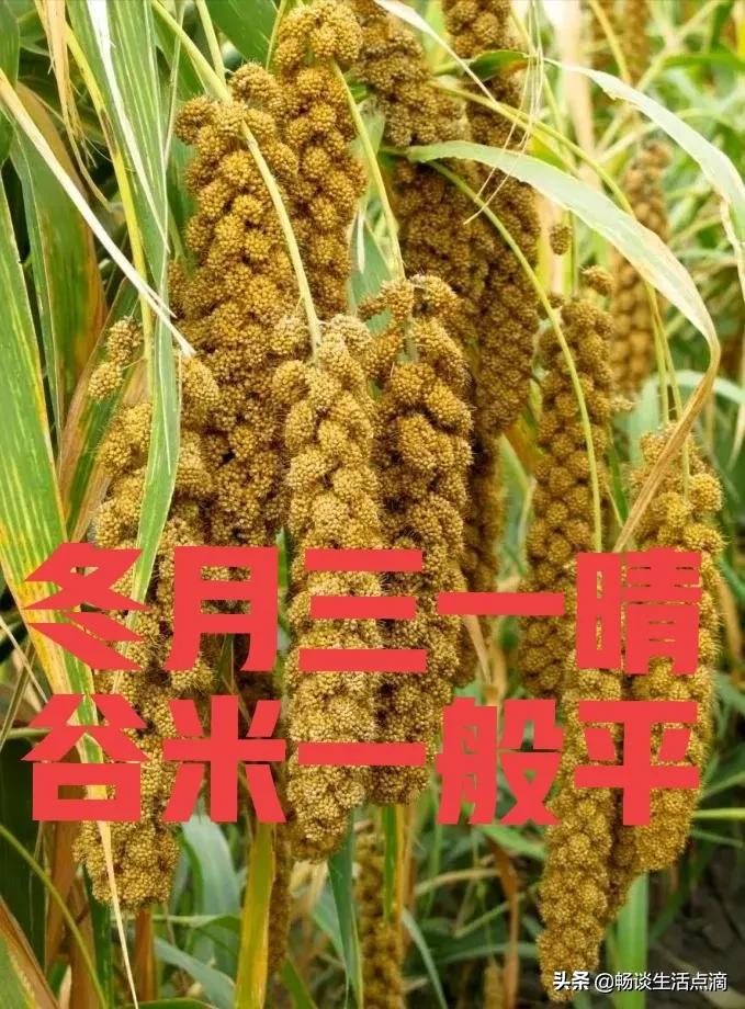 冬月初一下雨是什么预兆,冬月初一下雨天什么预兆