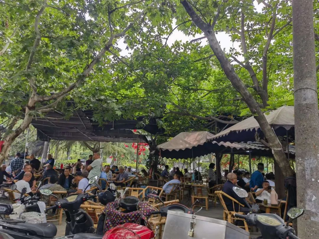 洞子口往事 (陈氏凉粉洞子口)