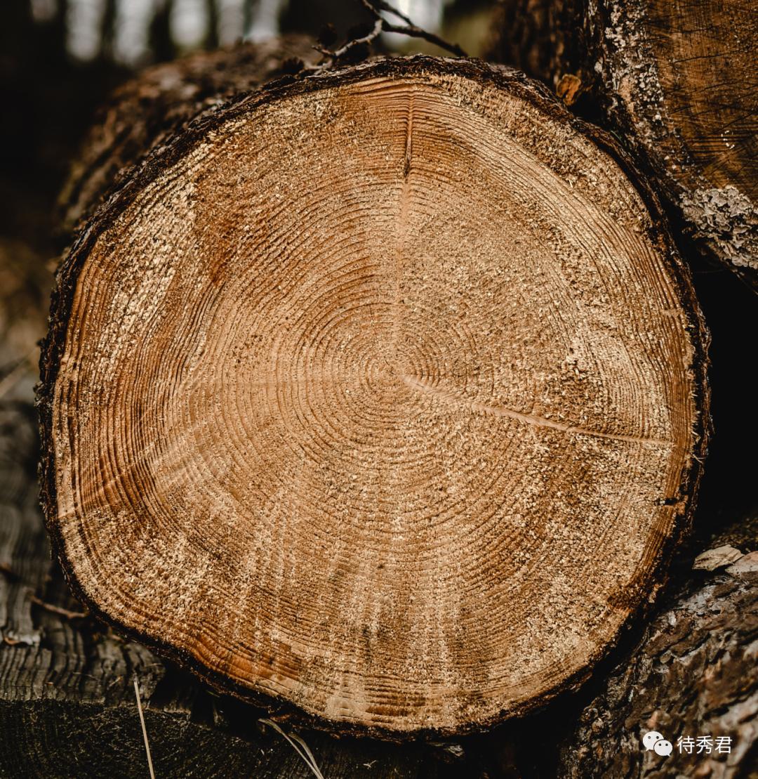 你真的了解实木吗,实木家具的骗局