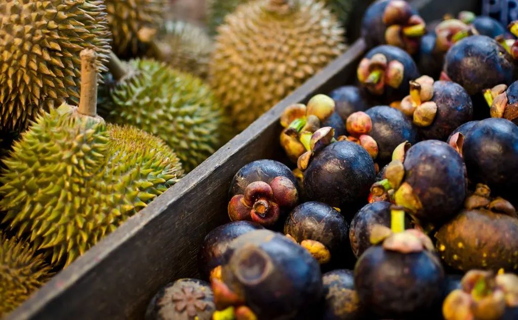 榴莲和山竹是绝配吗,榴莲和山竹是最好的搭档