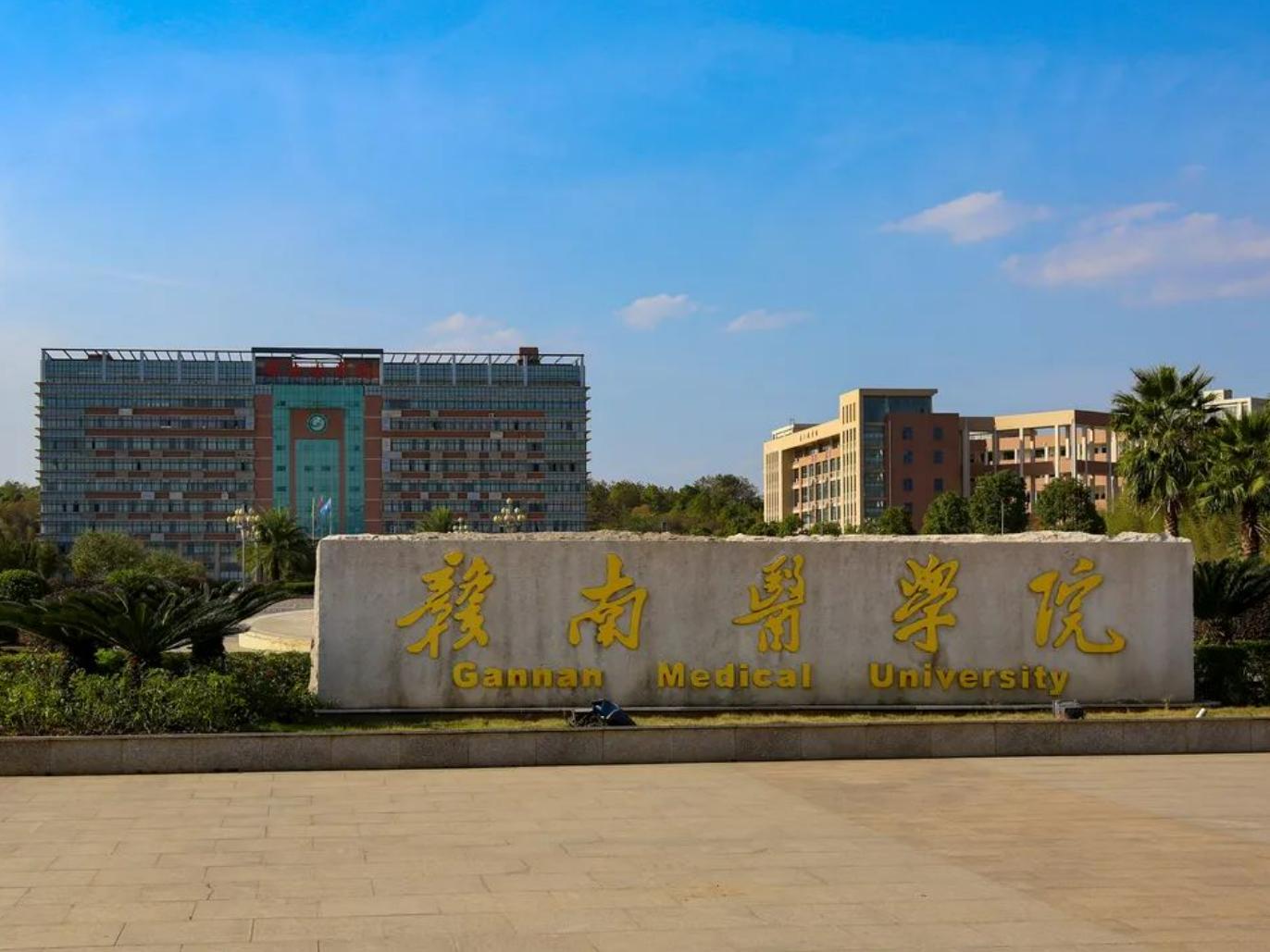 国内二本医药学类院校,国内二本医学院