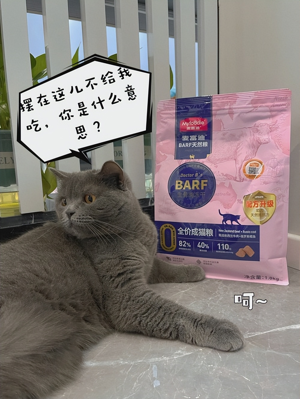 猫吃猫草后需要吐几天,猫咪猫草吃多了会嗜睡吗