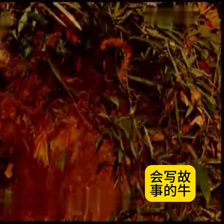 推理悬疑电视剧爱情,爱情可以让鬼使神差吗